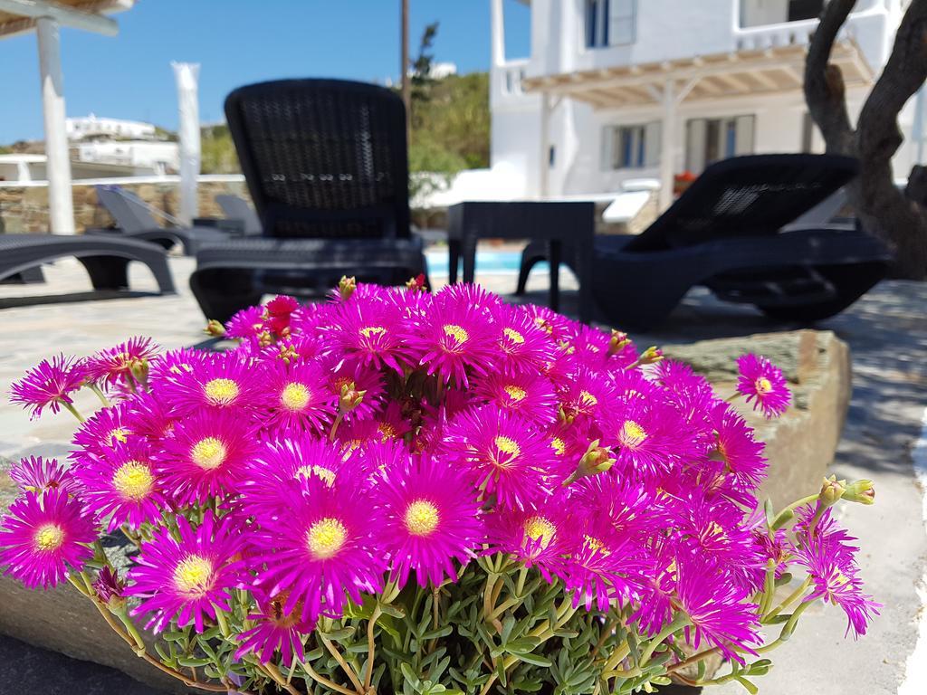 Villa Varnali Small Boutique Mykonos Town ภายนอก รูปภาพ