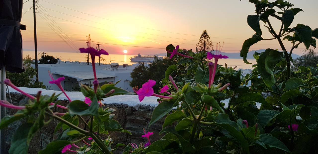 Villa Varnali Small Boutique Mykonos Town ภายนอก รูปภาพ